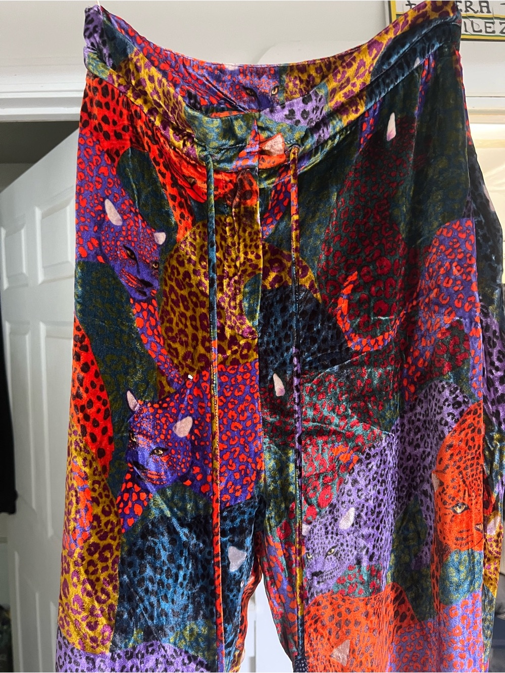Farm Rio Vibrant Multicolor Jaguar Velvet Pants - Small